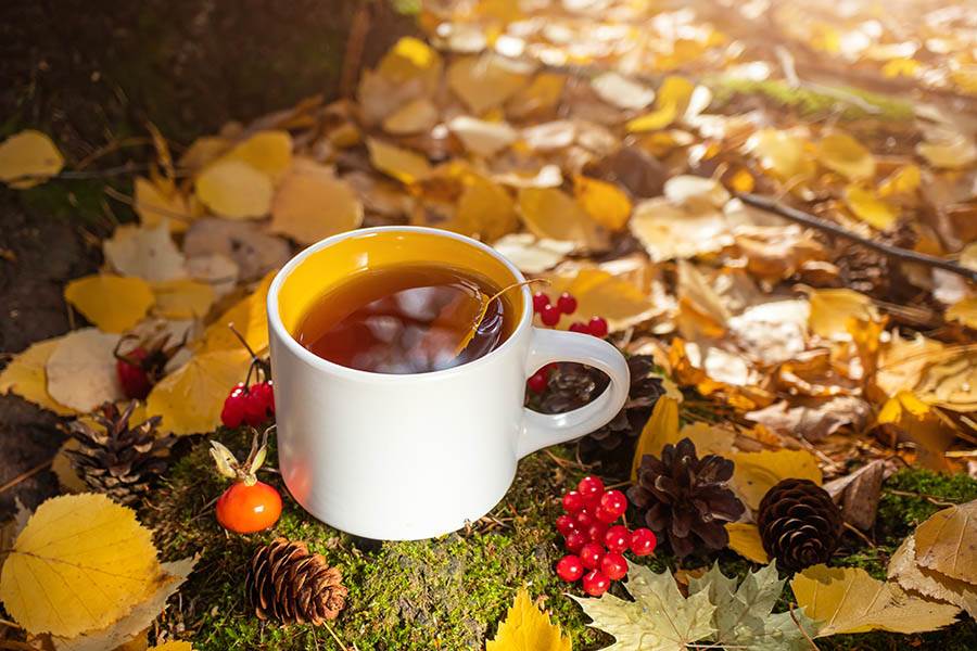 fall leaves and tea